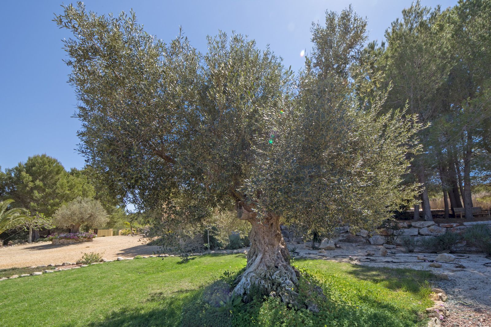 Countryside Property with Panoramic Views for Sale in Javea