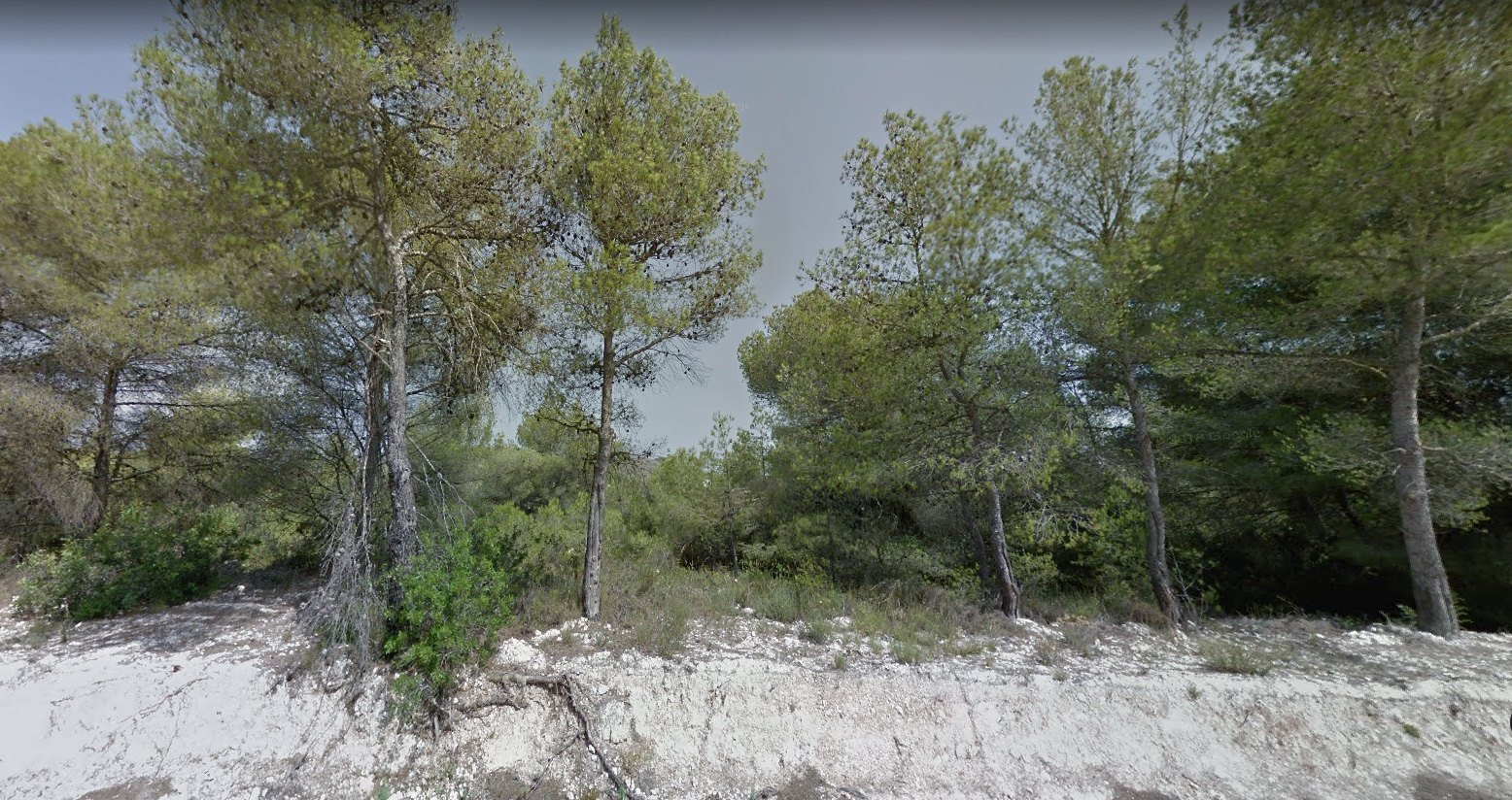 LARGE PLOT FOR SALE IN CANSALADES IDEAL PROMOTERS - JAVEA - COSTA BLANCA